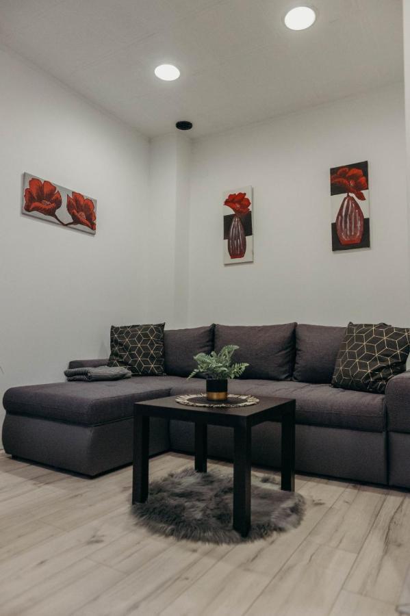 Appartement Holy à Ðakovo Extérieur photo